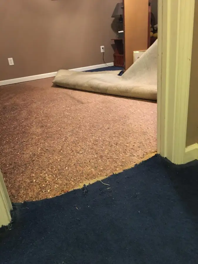 Carpet pad removal revealing water damage during Drying & Dehumidification in Maidencreek